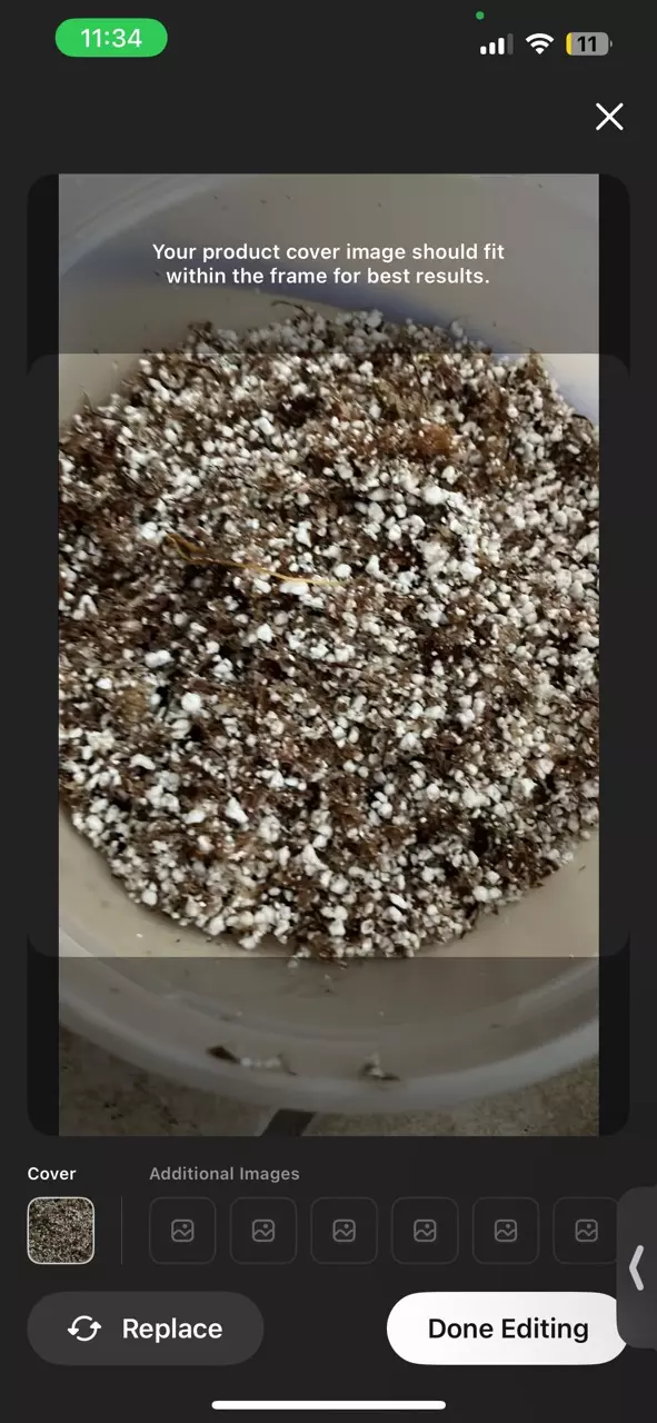 Moss and perlite mix thumbnail
