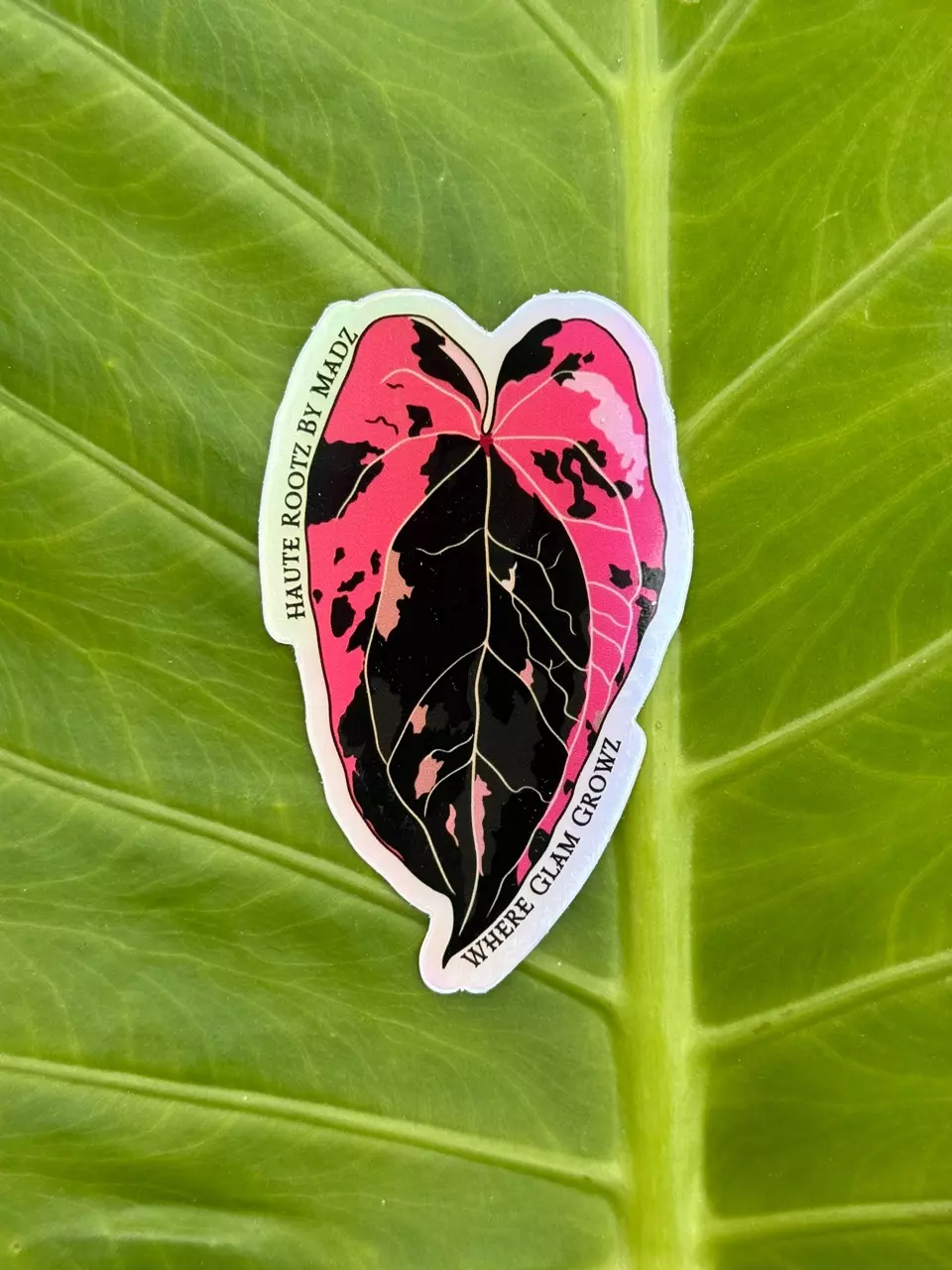 MADZ Anthurium Sticker ‘logo’ holographic thumbnail