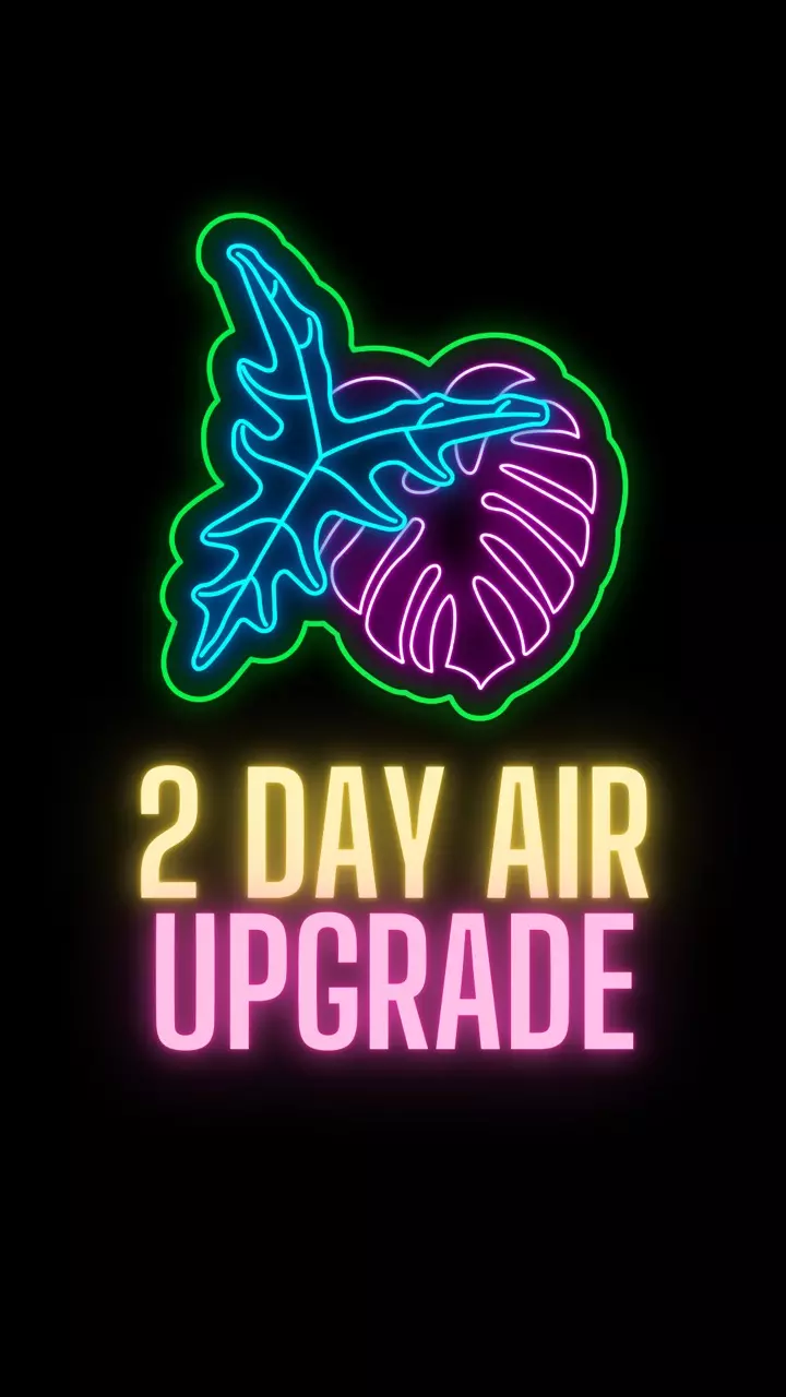 2 Day Air Upgrade thumbnail