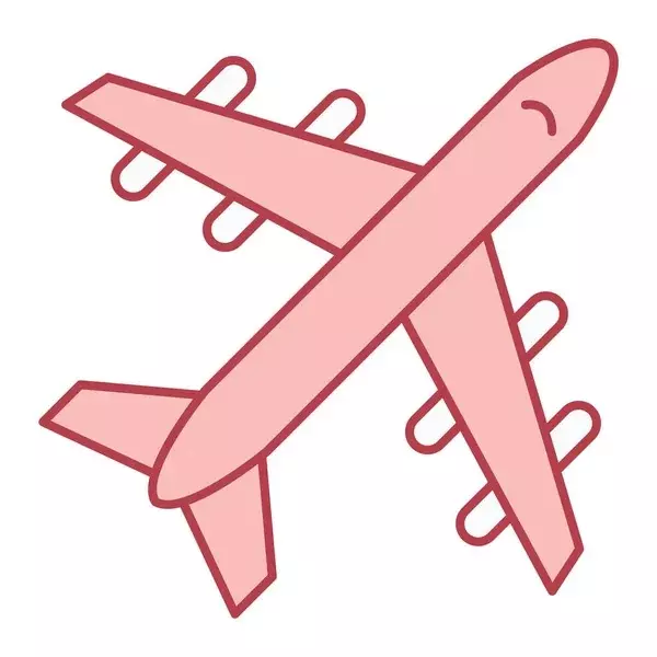UPS Next Day Air - Add On thumbnail