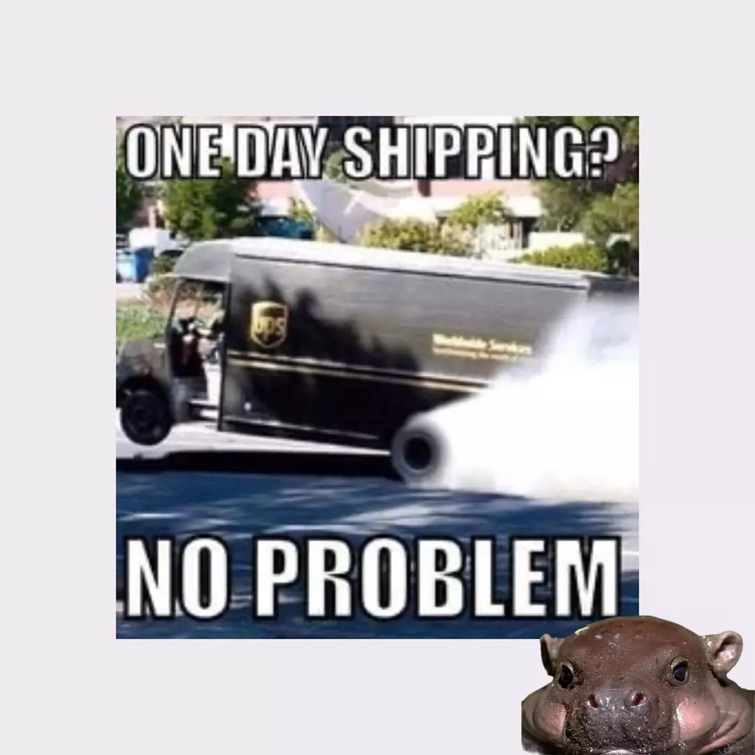 UPS 2 Day Upgrade thumbnail