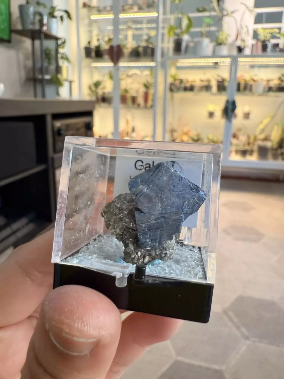 Galena Specimen thumbnail