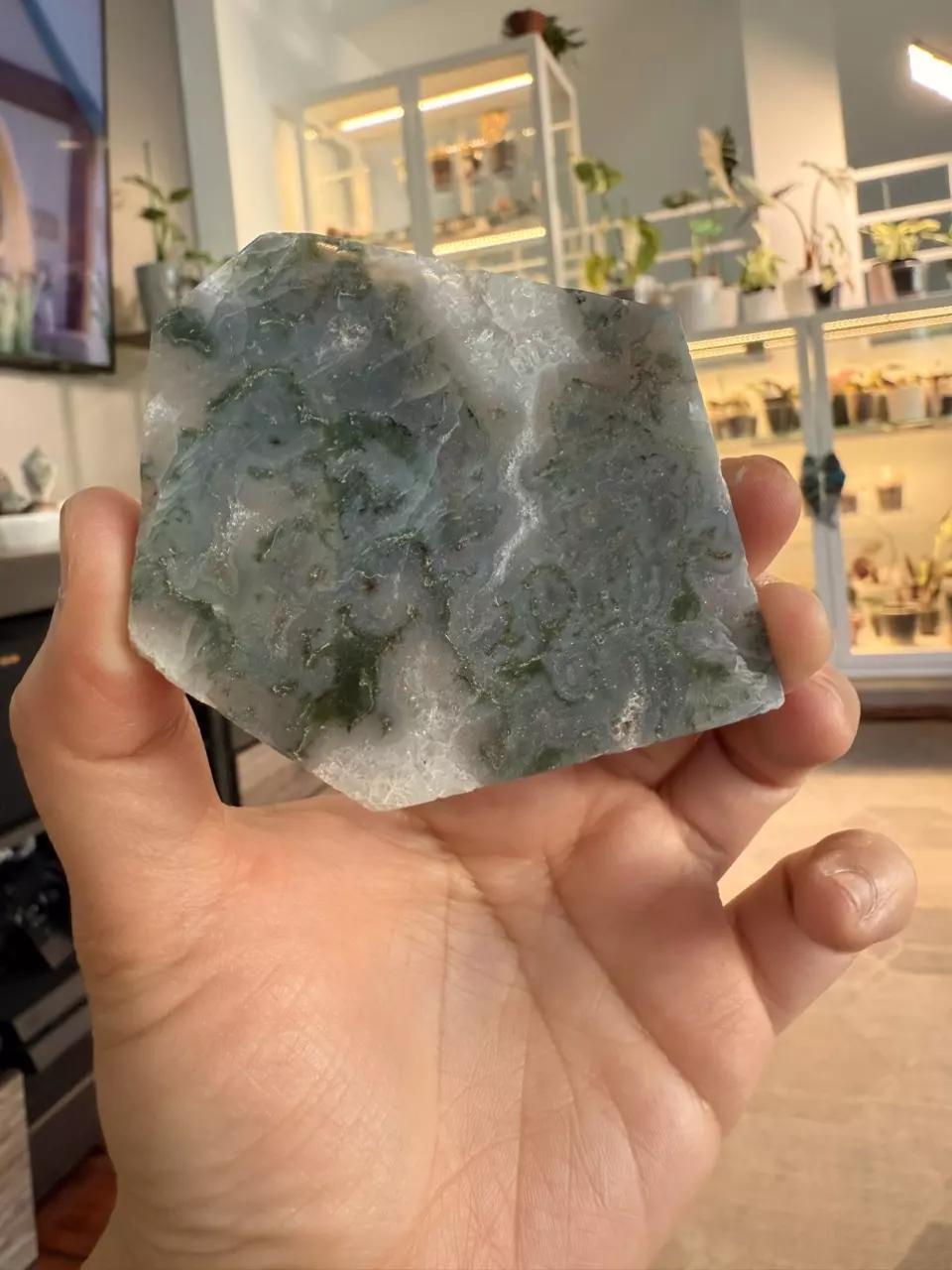 Moss Agate Slab thumbnail