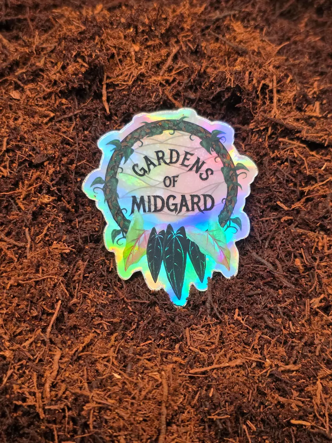 Tree Fern Fiber 10L (2.6 Gallons) thumbnail