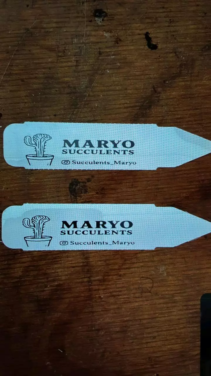 Tags\Labels 💫 (5) thumbnail