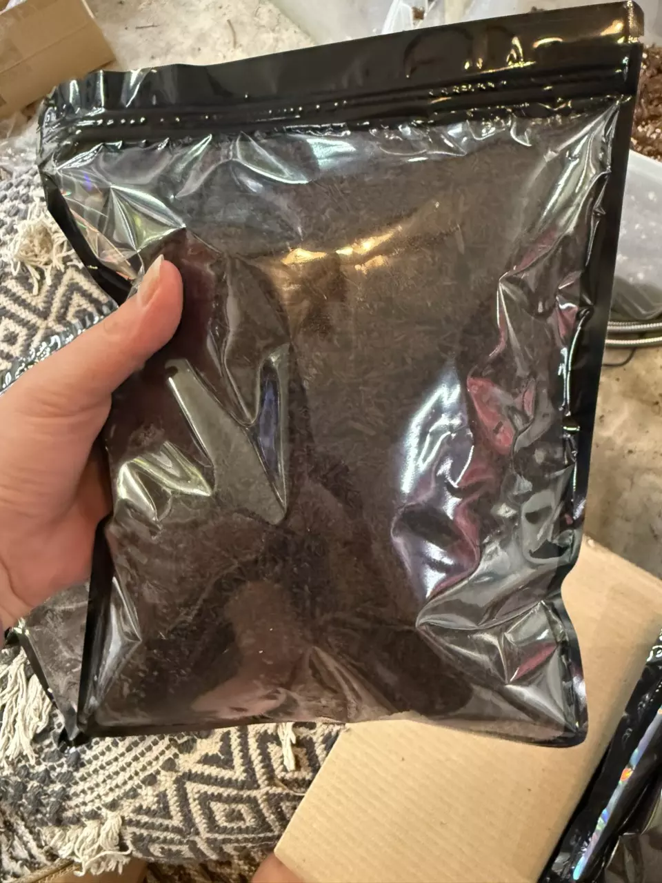 1 LB bag of Tree Fern Fiber thumbnail