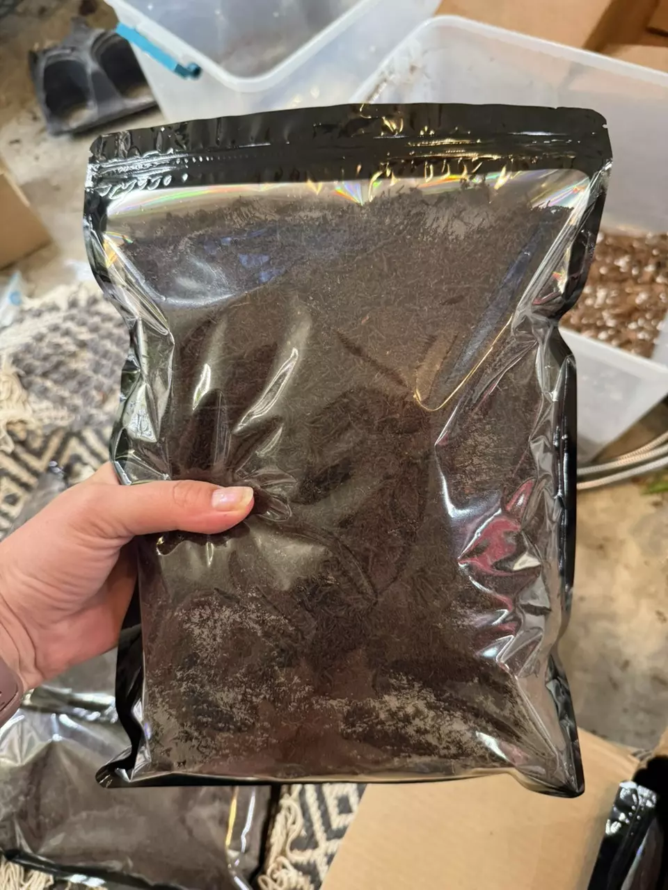 2 LB Bag of Tree Fern Fiber thumbnail