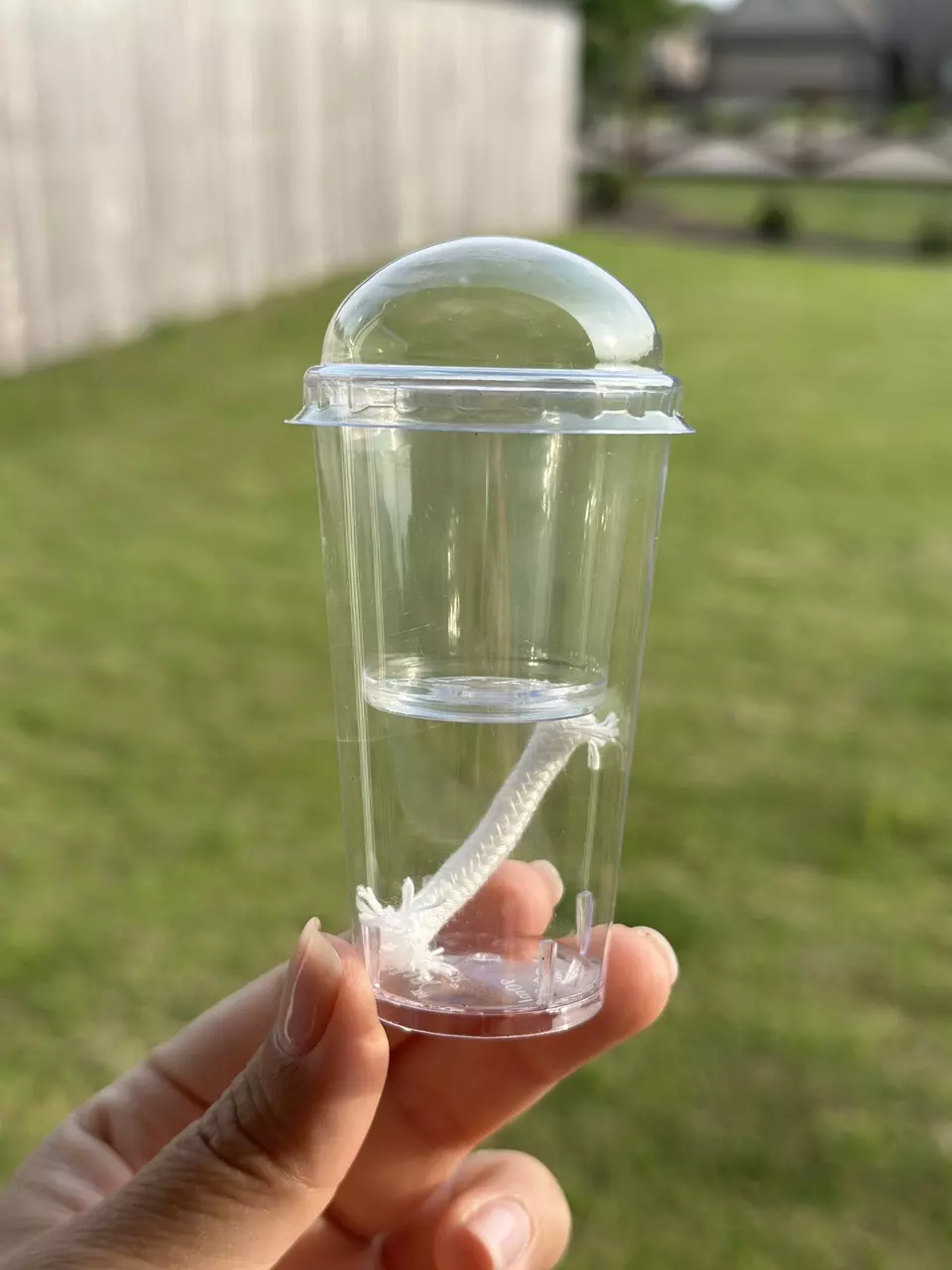 Self Watering Corm cups (Set of 3)***Free Shipping as Add On ONLY*** thumbnail