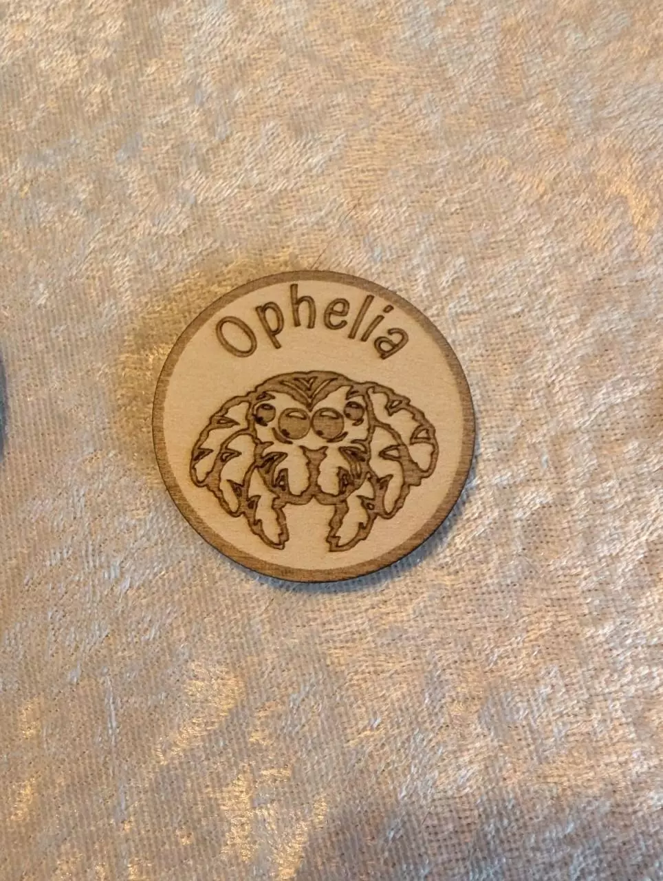 Medium Sized Personalized Jumping Spider Name Enclosure Token thumbnail