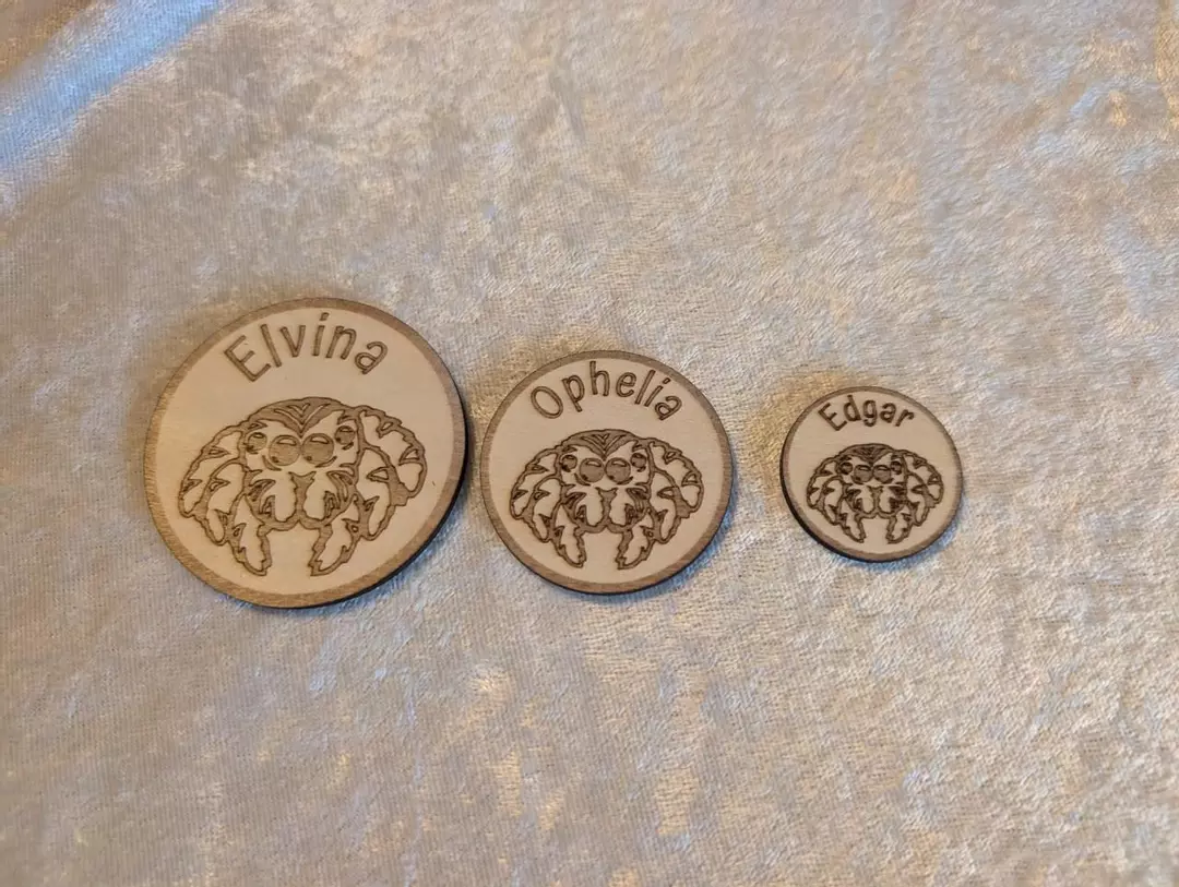 Large Personalized Jumping Spider Name Enclosure Token thumbnail