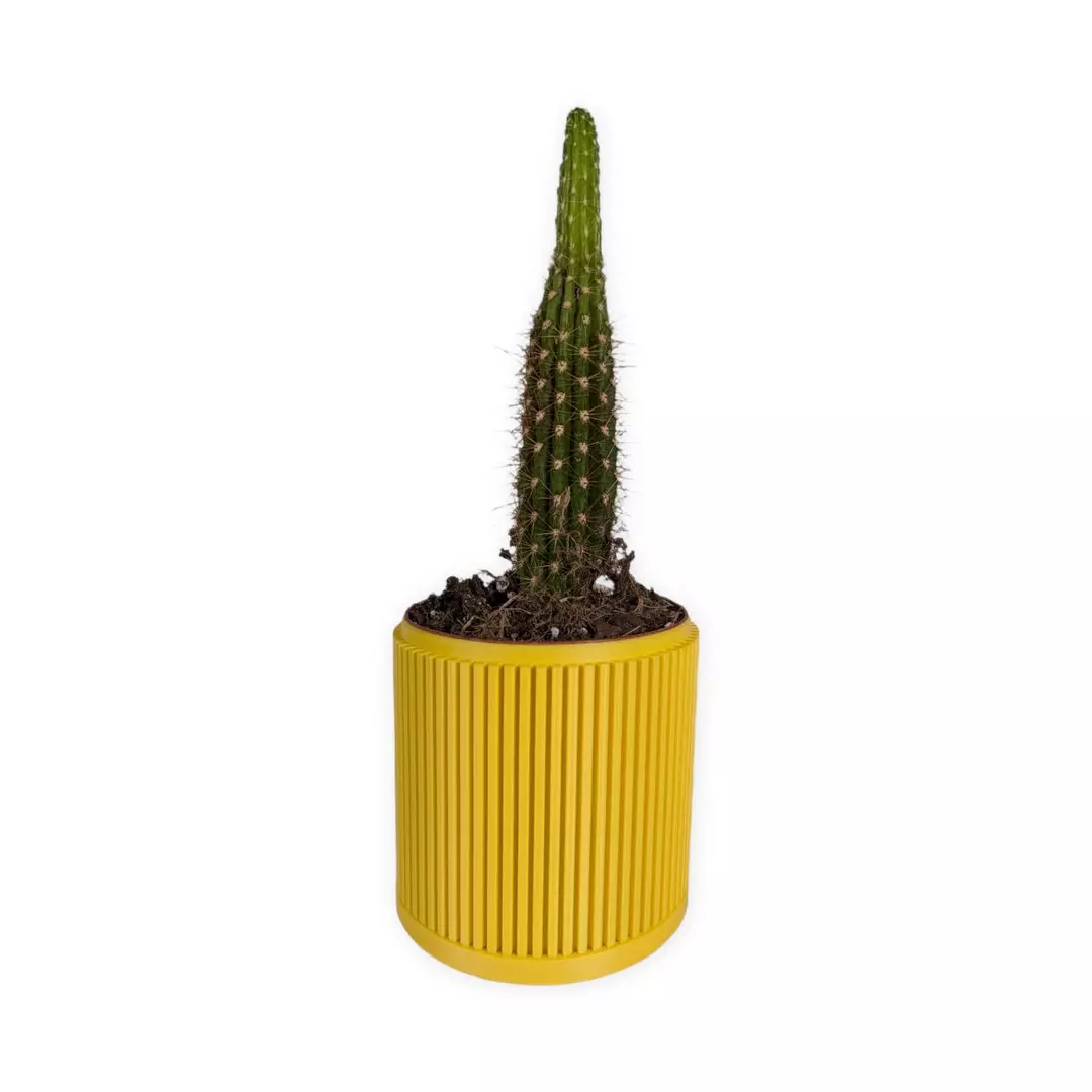 The Willow - 4" planter (yellow | with drip tray) thumbnail