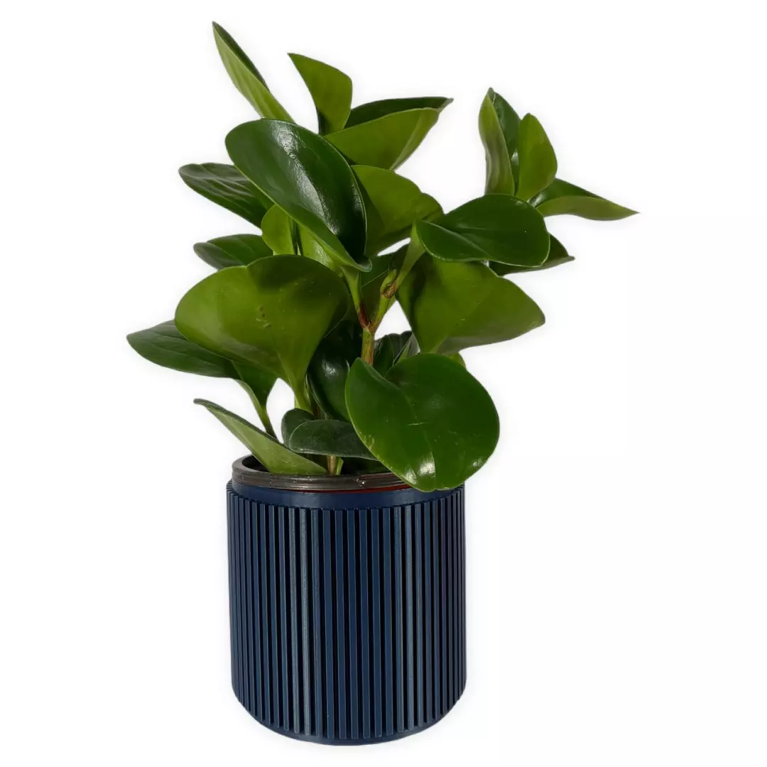The Willow - 4" planter (navy | NO drainage) thumbnail