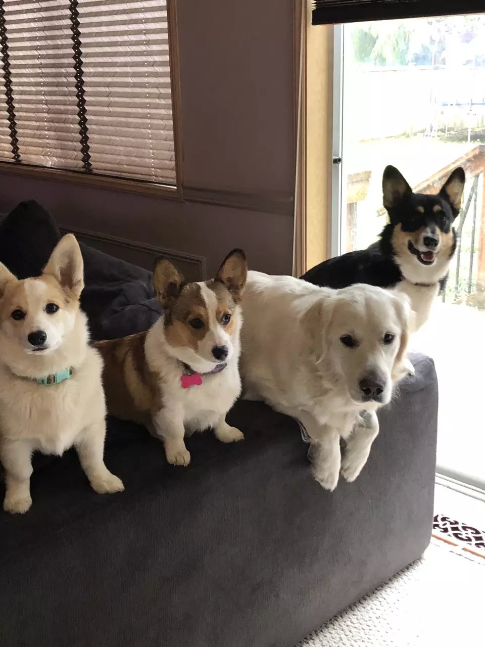 Shipping upgrade #1 thumbnail