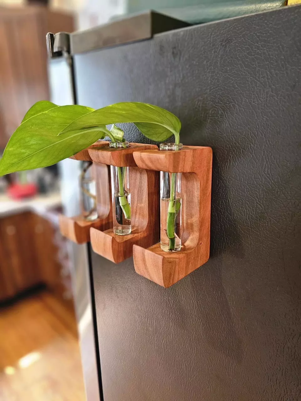 PROP - Magnetic Propagation Hangers 3 Pack Includes Glass Vials thumbnail