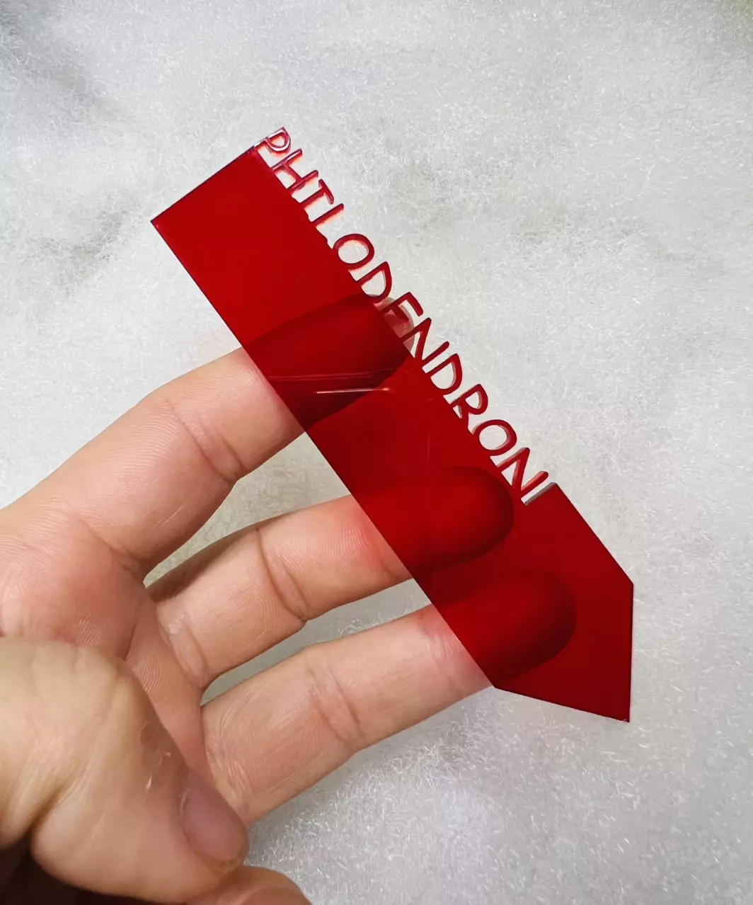 Red Philodendron Plant Marker thumbnail