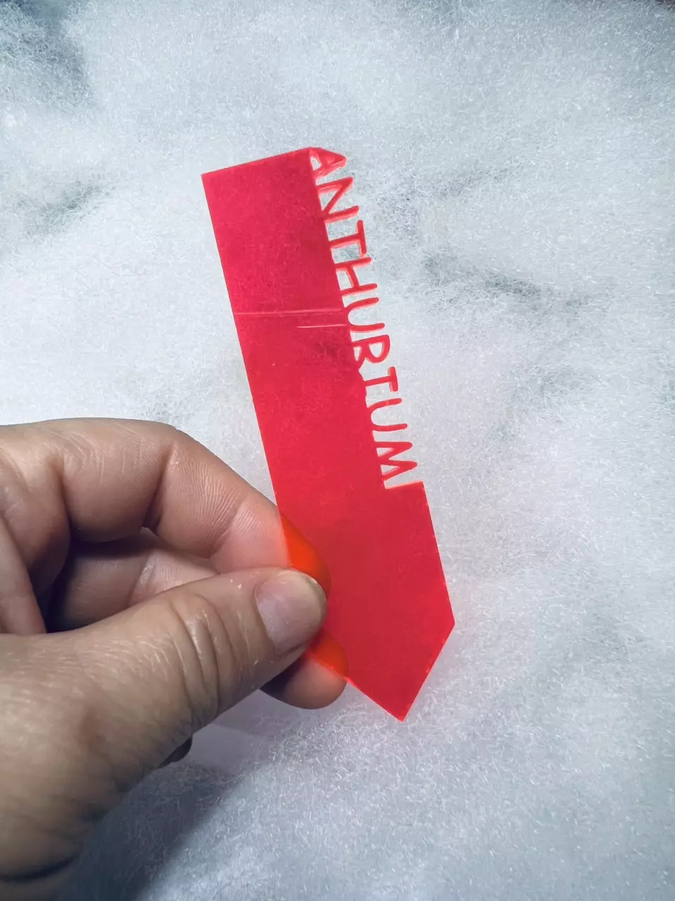 Clear Pink Anthurium Plant Marker thumbnail