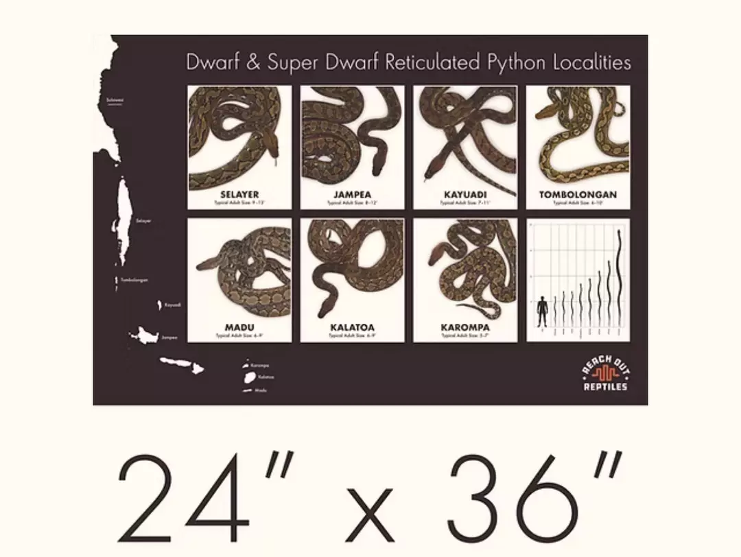 ROR DWARF AND SUPER DWARF RETIC LOCALITY POSTER thumbnail