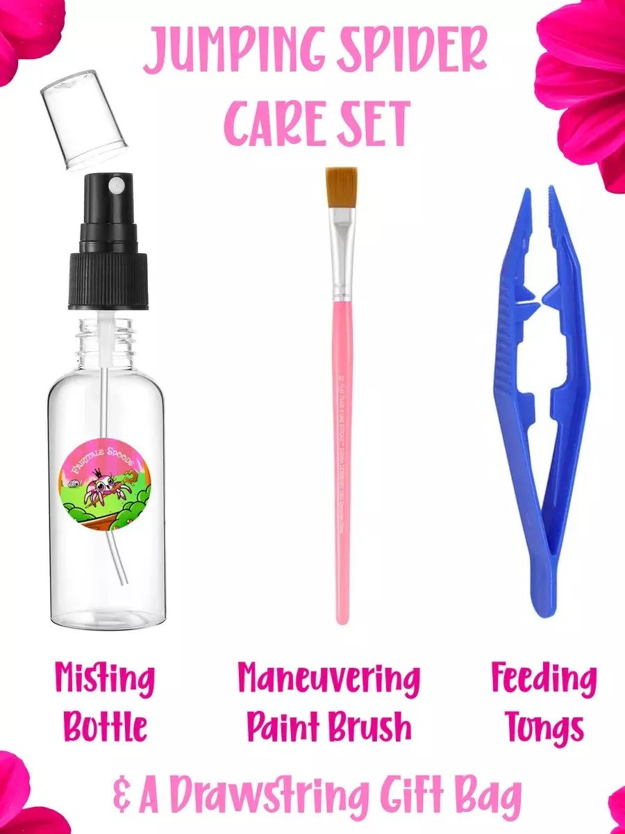 Jumping Spider Care Set thumbnail