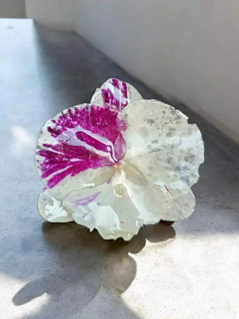 Real Orchid flower pin thumbnail