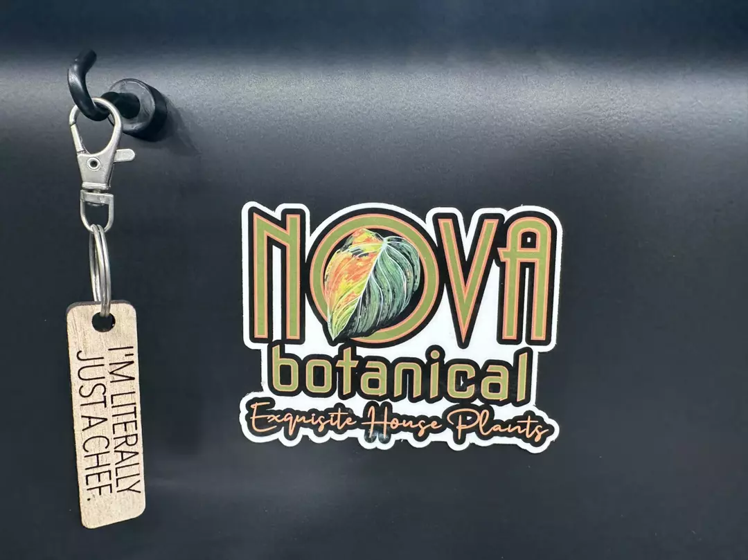 Nova magnet! thumbnail