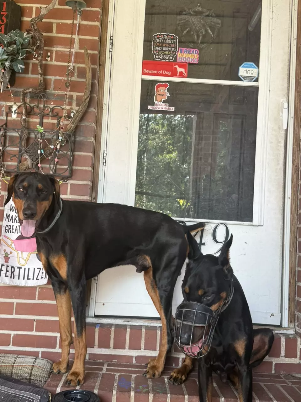 Extra insulation thumbnail