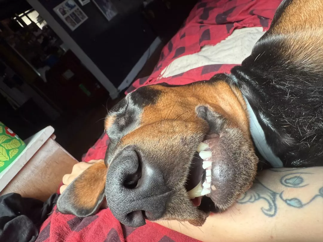 Next day ups upgrade thumbnail