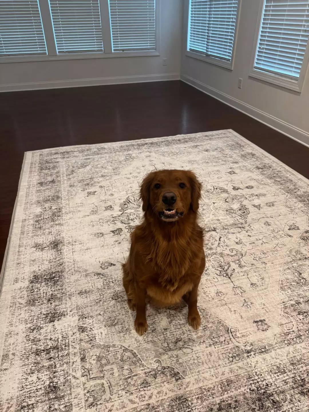 B2B Test - Fletcher thumbnail