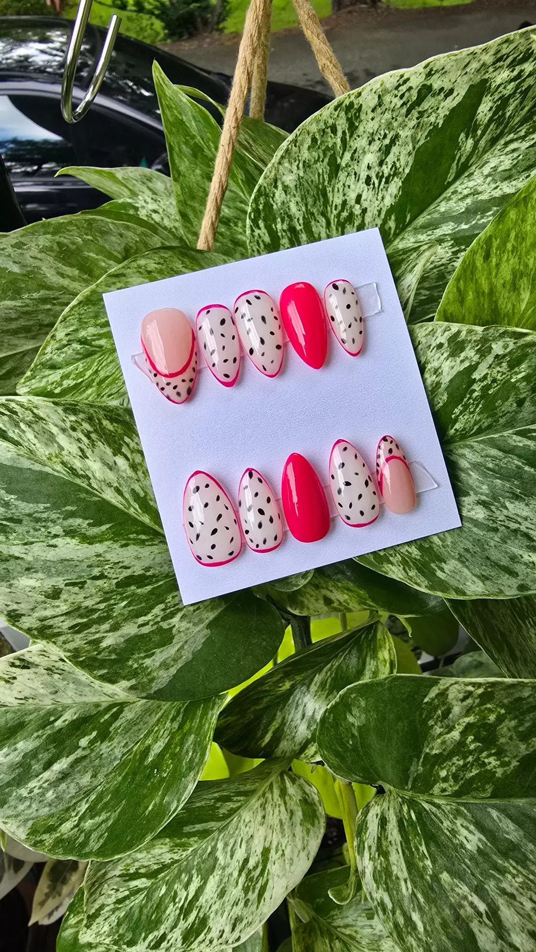 Dragonfruit Dream 🩷 thumbnail