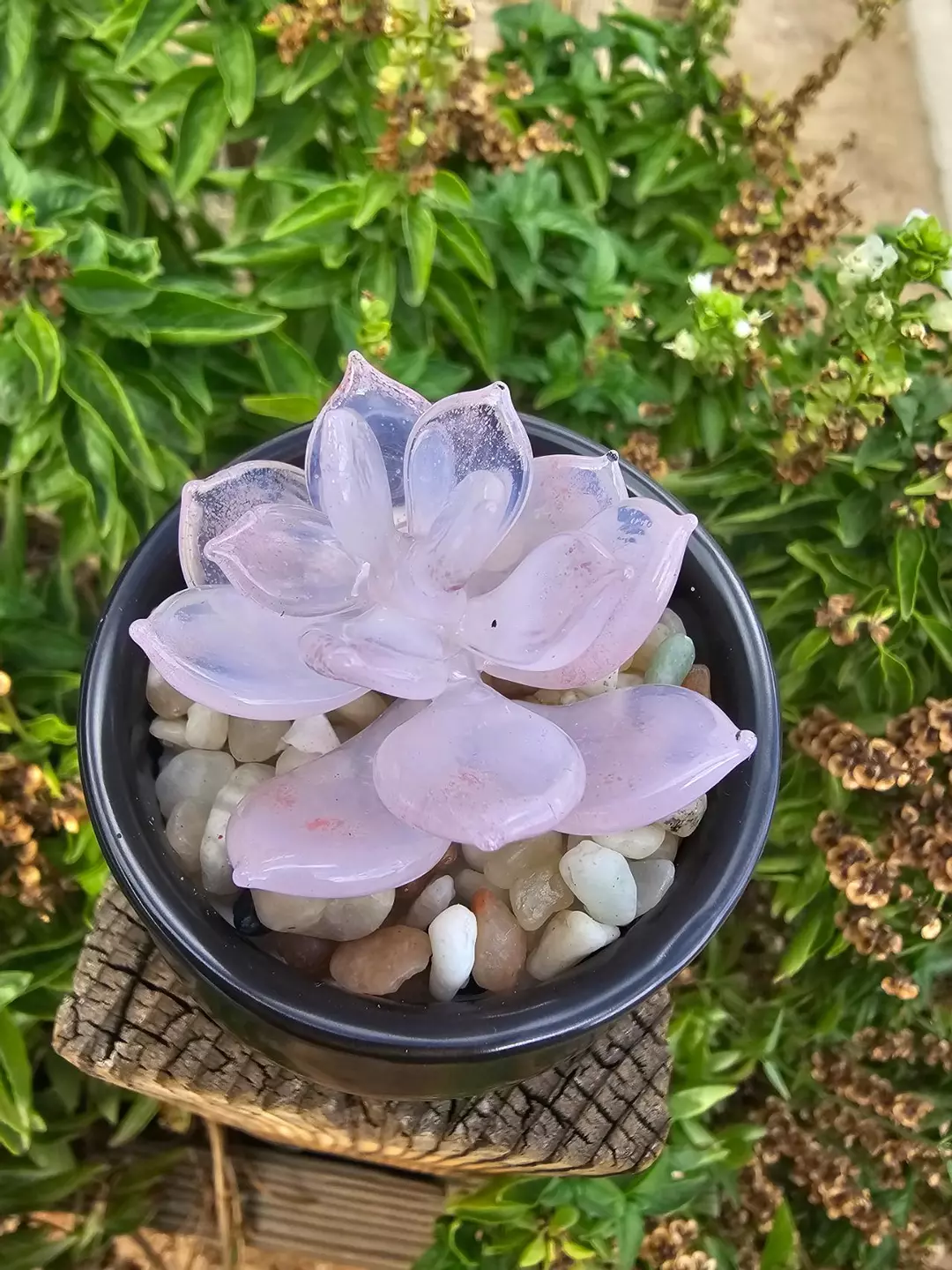 Glass pink succulent set thumbnail