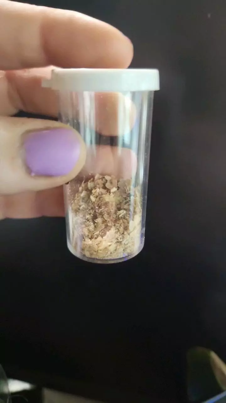 ADD ON ONLY Mini mealworms 10ish count thumbnail