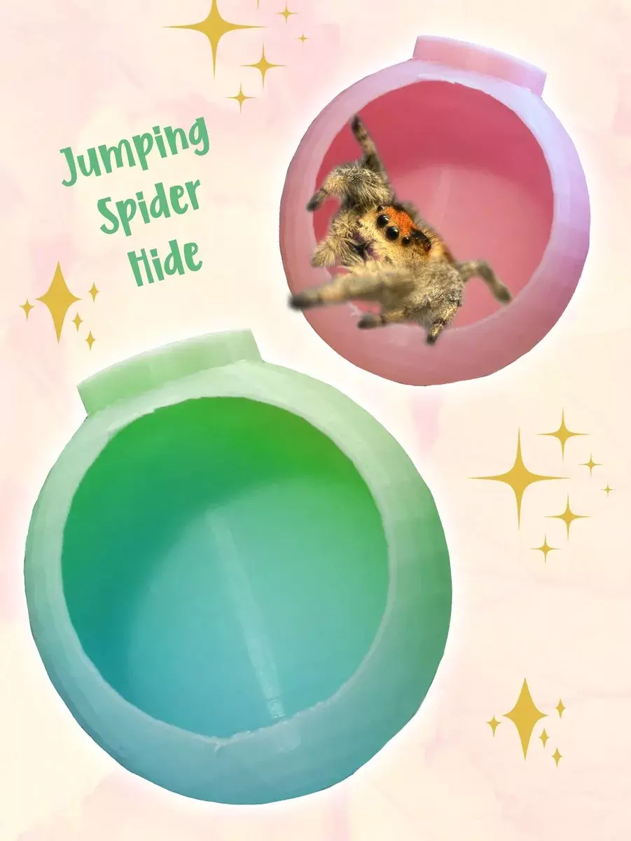 3D Jumping Spider Magnetic Hide thumbnail
