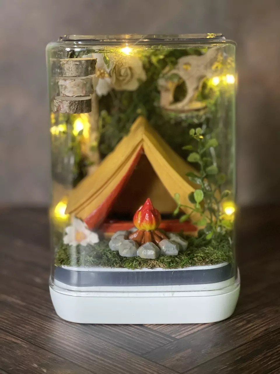 Jumping Spider Enclosure Camping Theme with Fairy Lights thumbnail