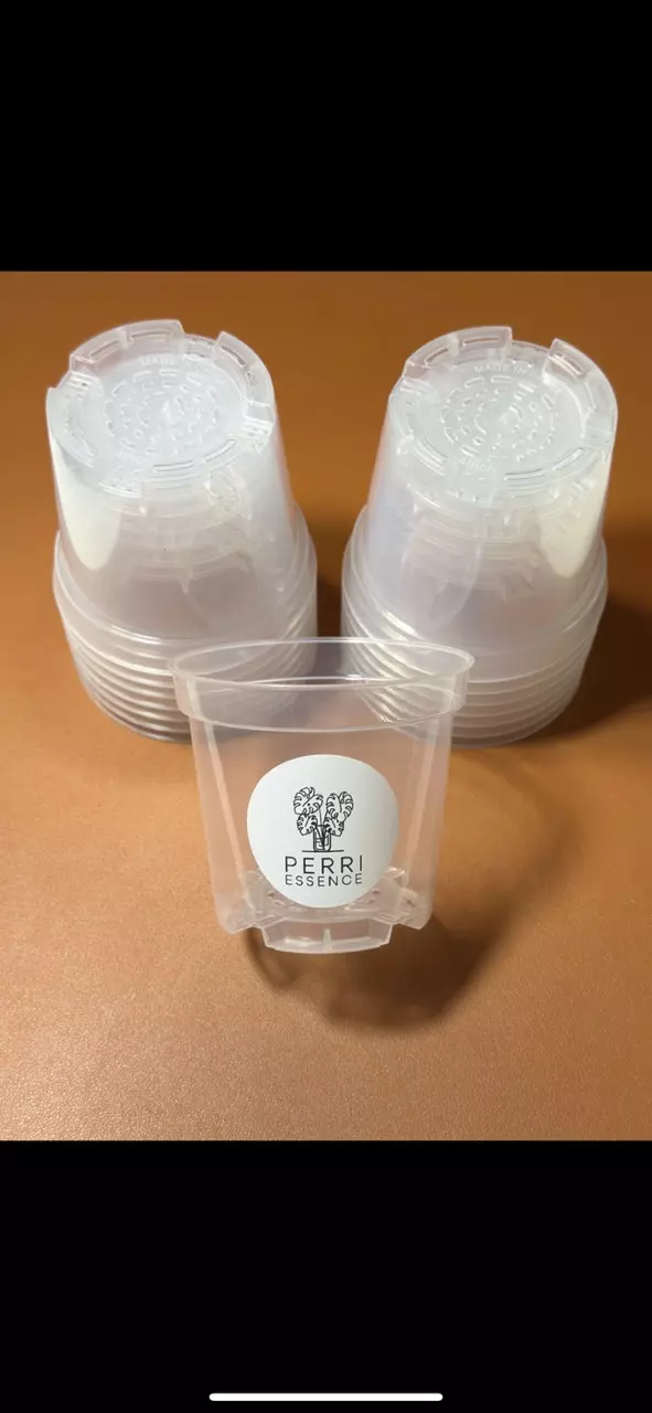 4” Clear Plant Pots thumbnail
