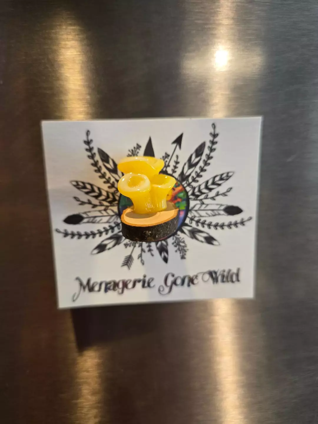 Mushroom Ledge thumbnail