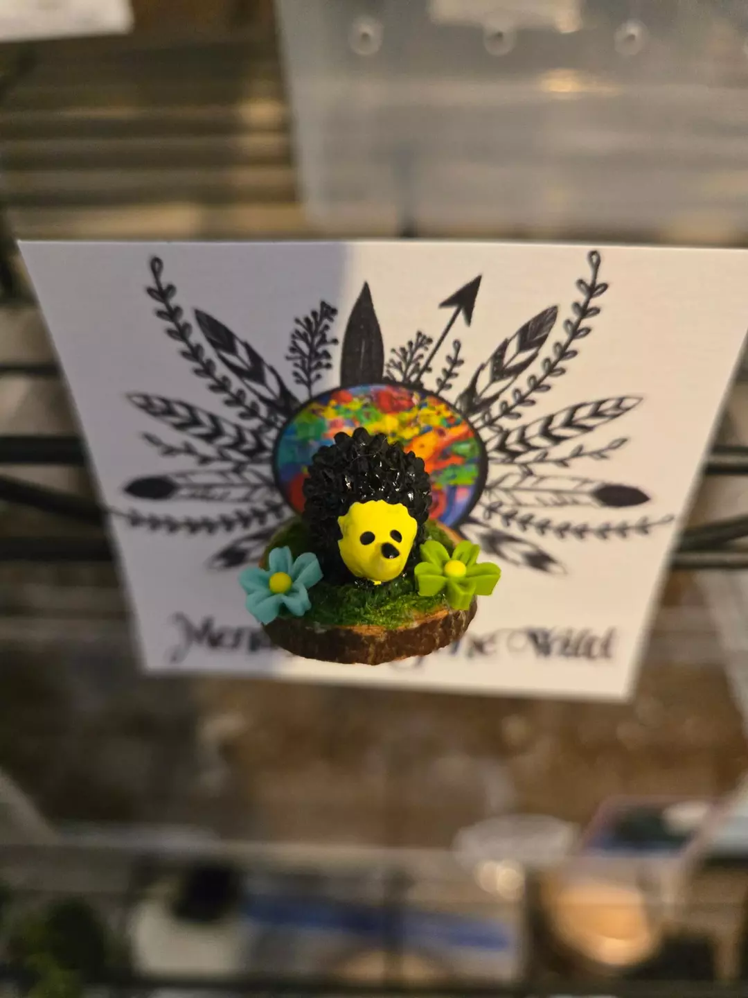 Hedgehog Ledge thumbnail