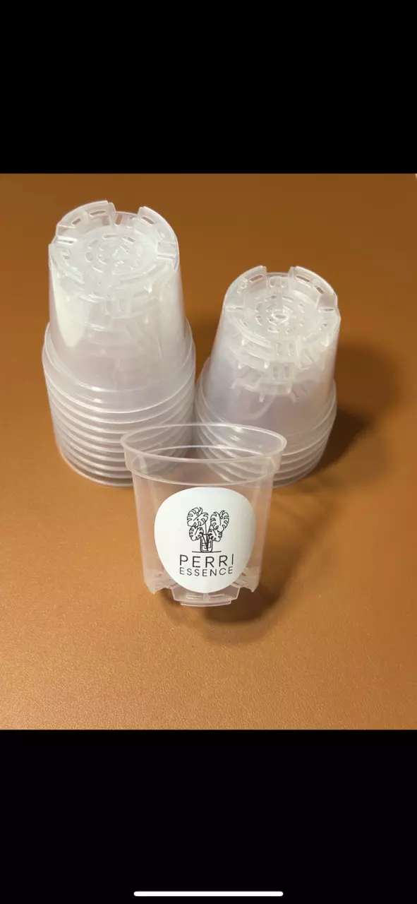 3” Clear Plant Pots thumbnail
