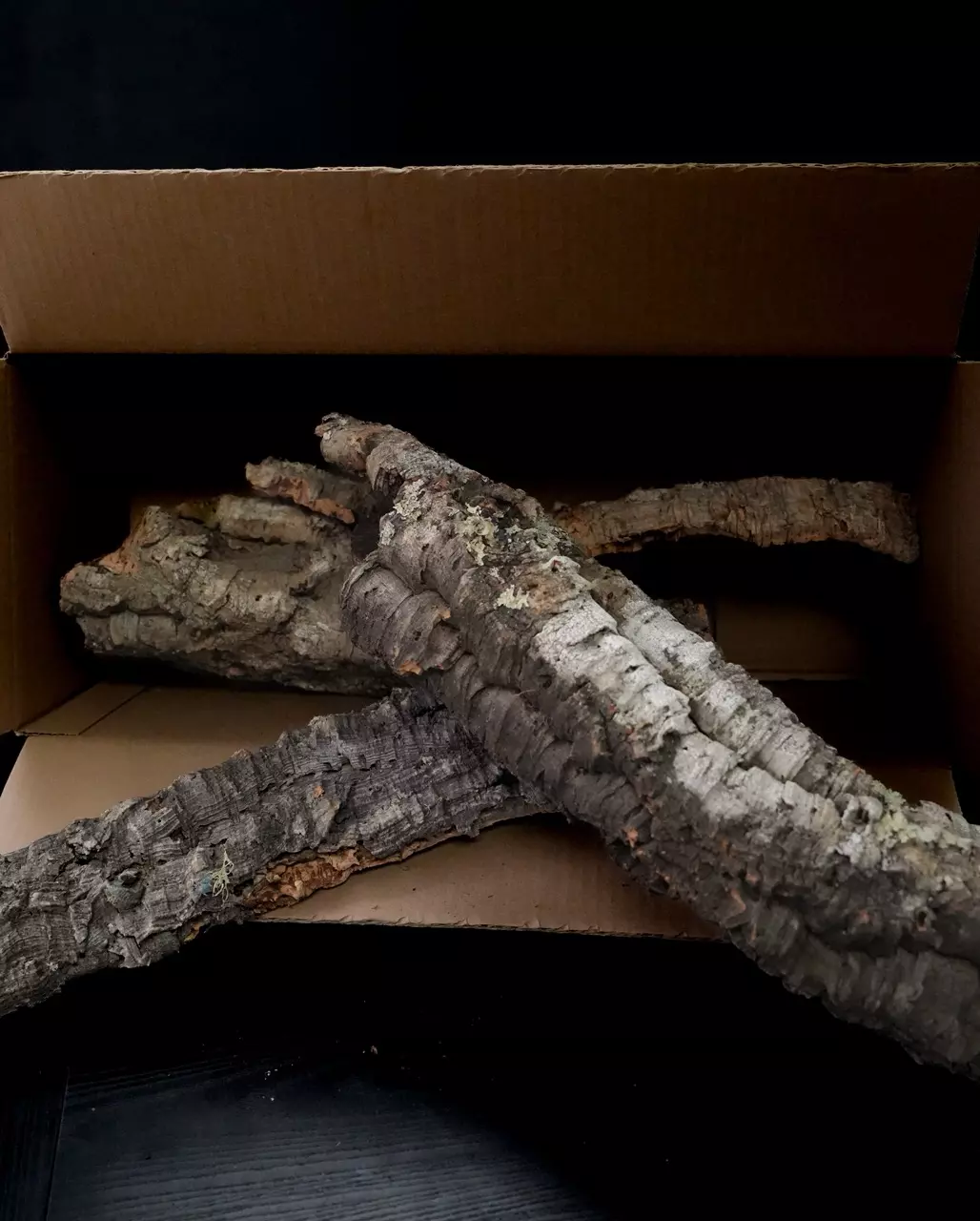 CORK FLATS & TUBE MIX BOX 5lbs thumbnail