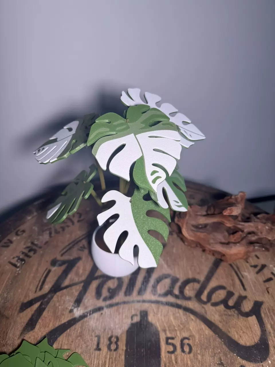 Variegated monstera coaster set thumbnail