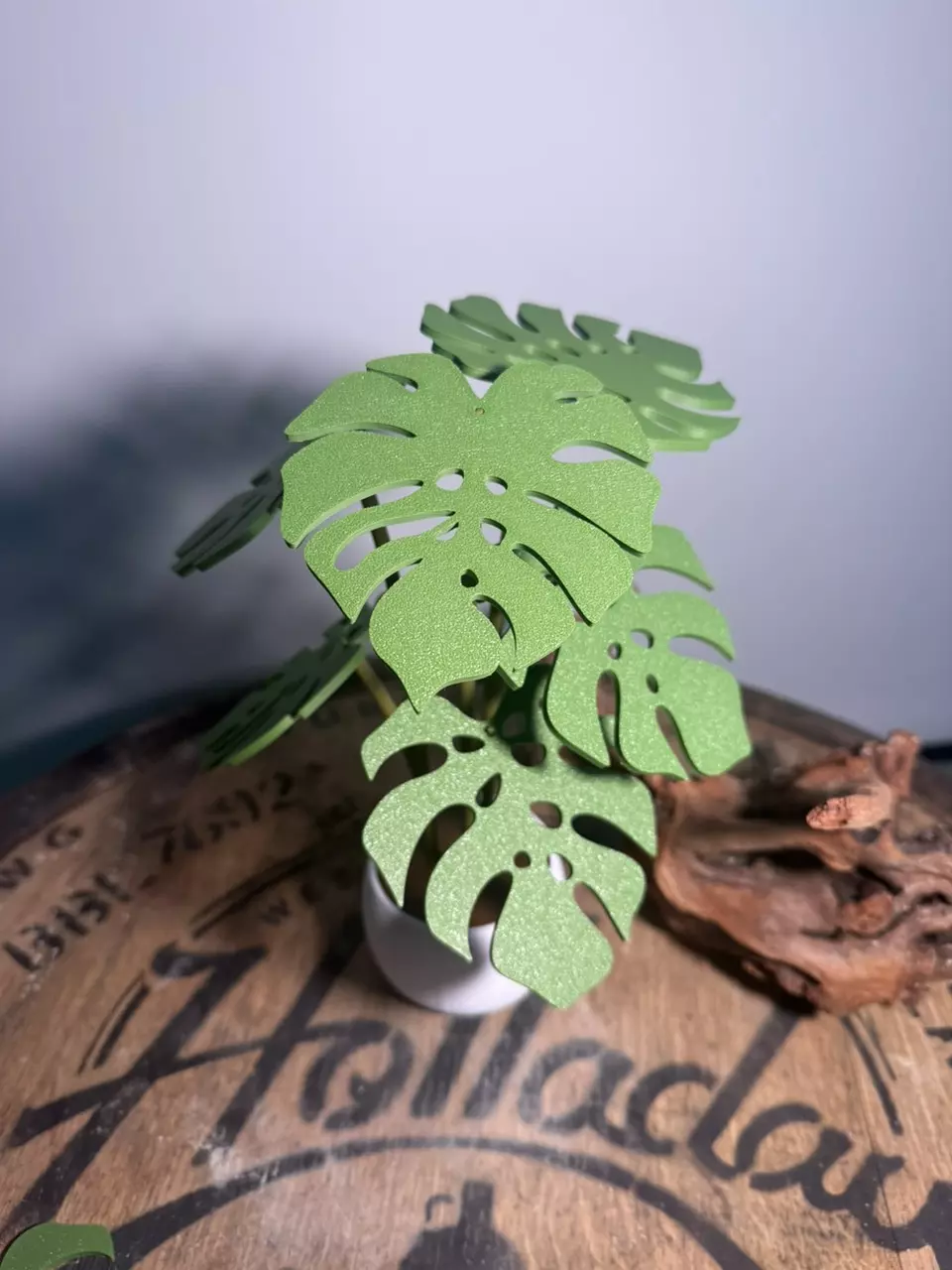 Monstera coasters thumbnail