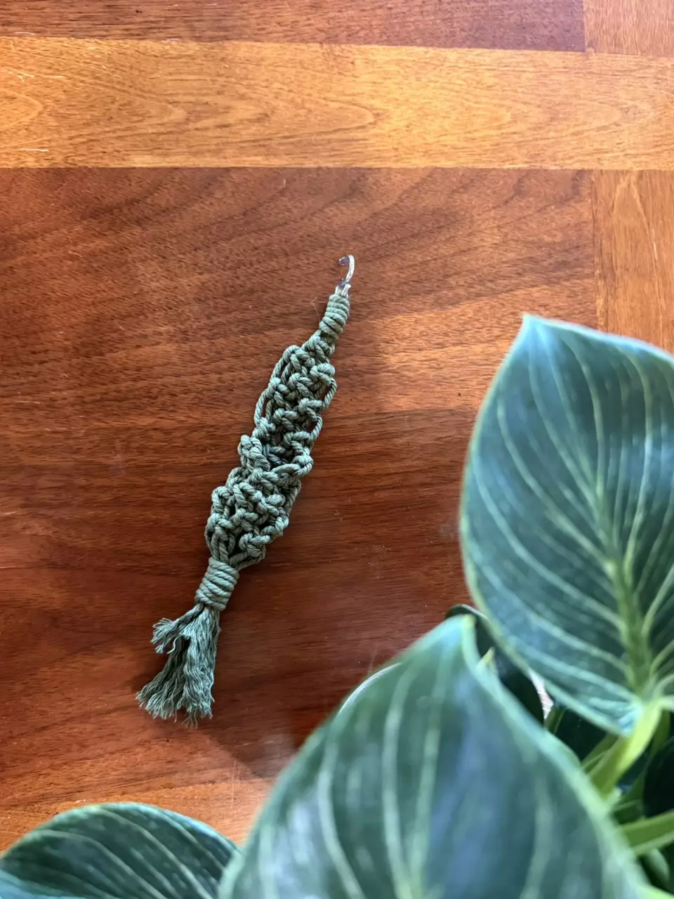 Propagation Holder - Handmade Macrame thumbnail