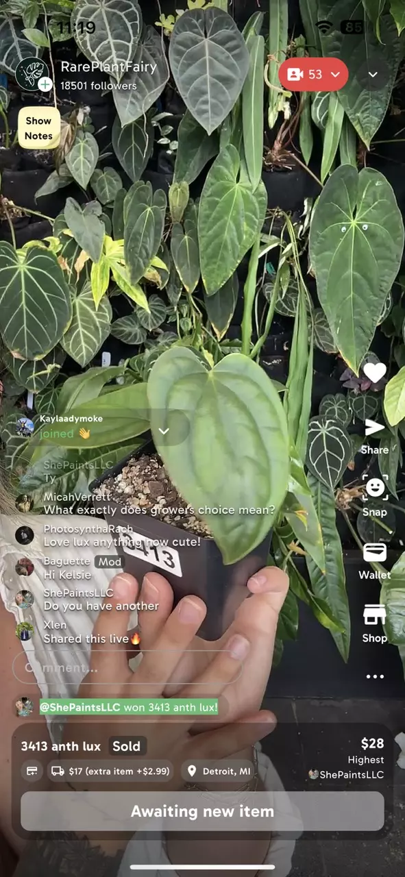 testvemnmo1 thumbnail