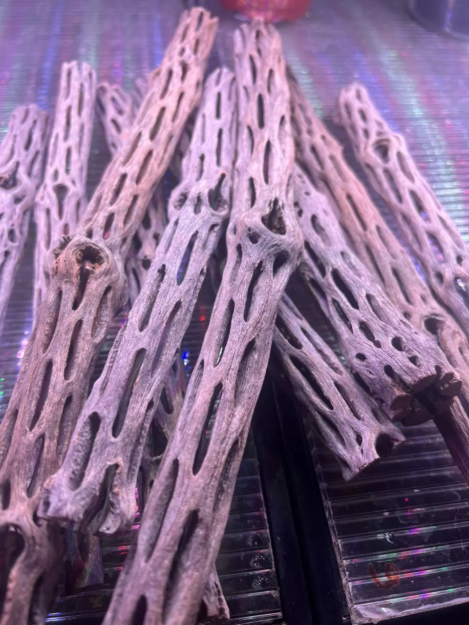 Cholla wood 1piece thumbnail