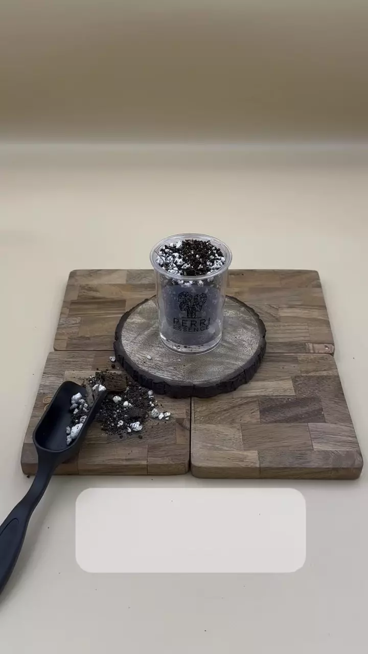 2” Self-Watering Wick System Pot thumbnail