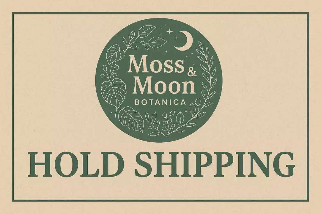Hold Shipping 1 Week from purchase date thumbnail