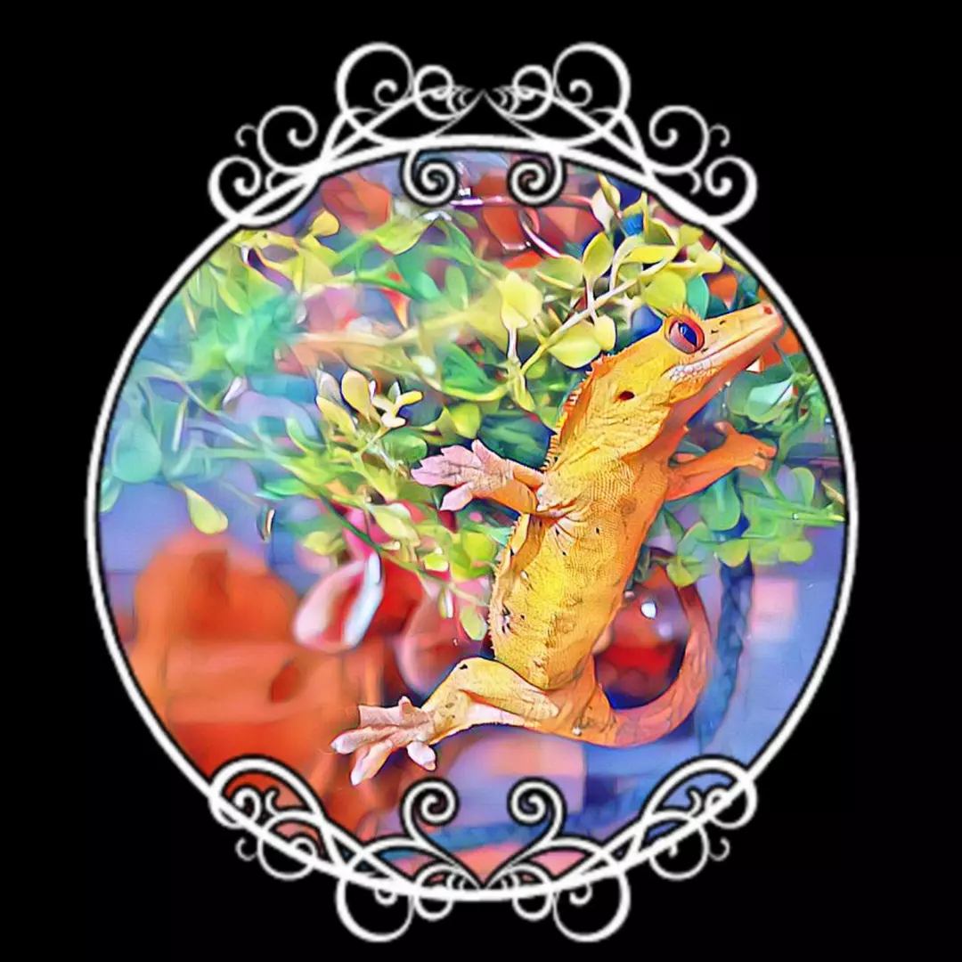 Dry Goods Shipping thumbnail