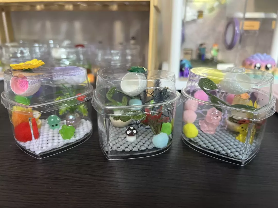 Mini custom jumping spider enclosure thumbnail