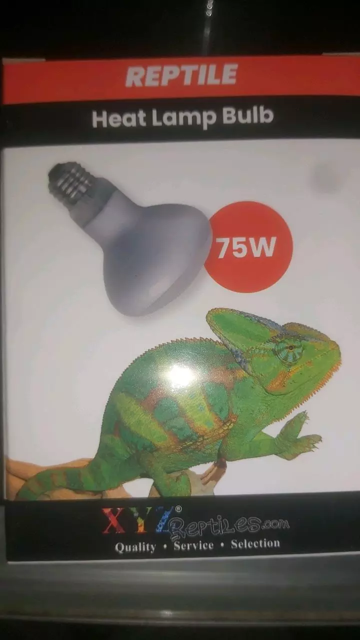 Reptile heat bulb 75w thumbnail