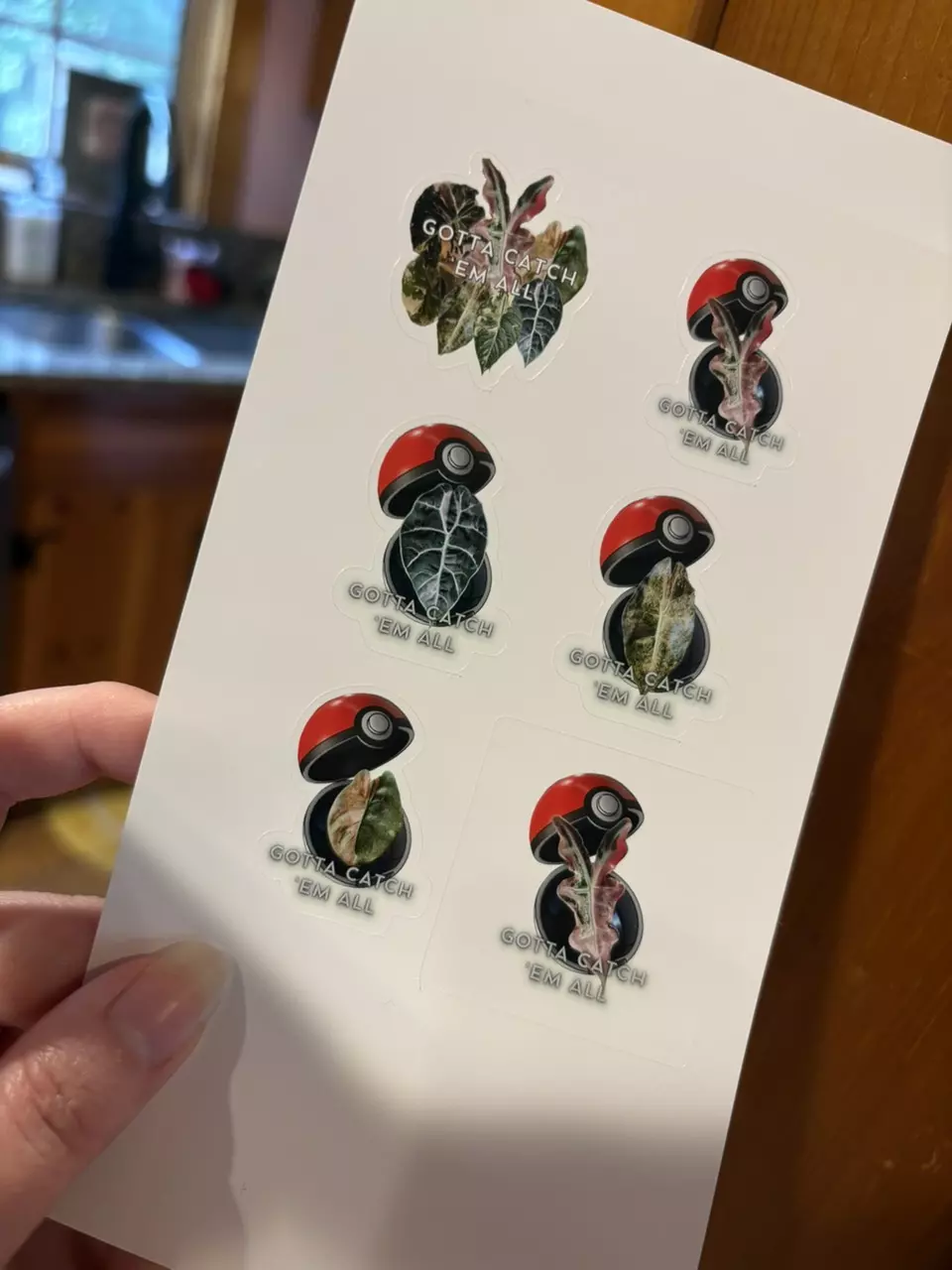 Gotta Catch Em All Planty Sticker Sheet thumbnail