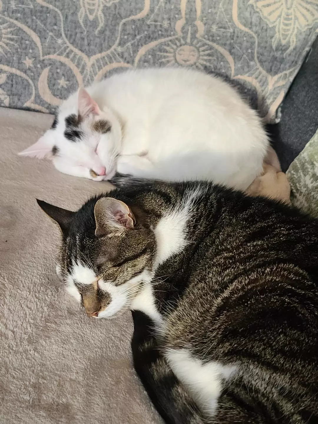 HOLD ONE WEEK thumbnail