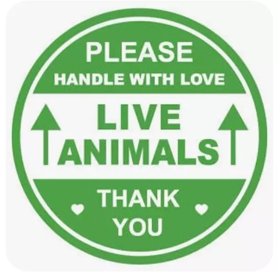 Live Animal Shipping thumbnail